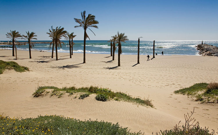 Cabopino beach east Marbella